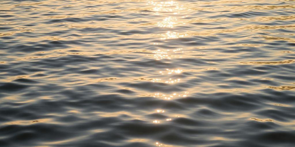 Serene landscape with calm water and soft sunlight.